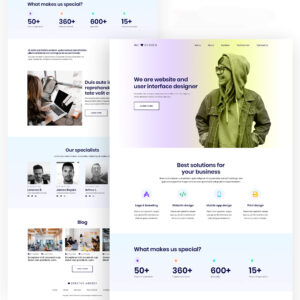 Diseño UX/UI para web (15 paginas)